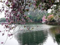 -星湖旅游景区七星岩