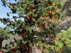 -楠溪江风景名胜区