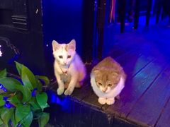 -星宿秘码(鼓浪屿老店)