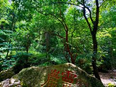 -雁荡山风景名胜区