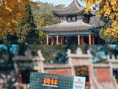 -西安碑林博物馆