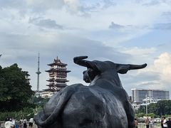 -老灶房-四川土菜(铁牛广场店)