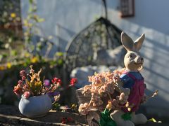 -浔岚云舍mist静谧观景美宿(丽江古城店)