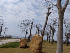 -芒洲湿地公园