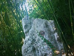 -老张烤羊(王哥庄店)