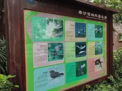 -大湾区中央湿地公园