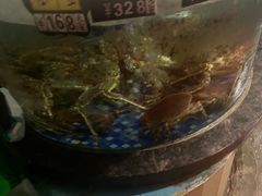 -绿雅居原生态农庄(小涌店)