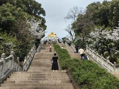 -苏州上方山国家森林公园