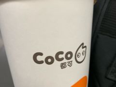 -CoCo都可(安河桥华联店)
