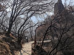 -秦岭终南山世界地质公园翠华山景区