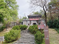 -板樟山森林公园