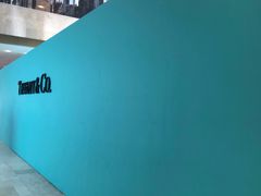 -Tiffany & Co.蒂芙尼
(南京德基广场店)