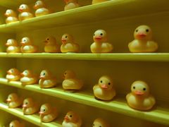 -杭州西湖星空魔幻城(星空艺术馆品牌旗舰店)