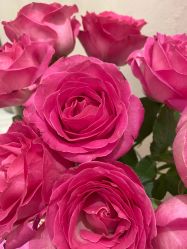 -尊尚柏丽美容SPA