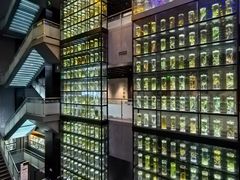 -广东中医药博物馆