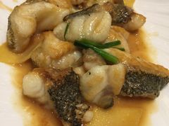 煎焗大龙趸-锦粤宫·精致粤菜(阳西店)