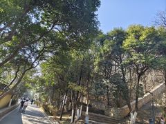 -云龙山