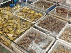 -郑庄脂渣海鲜楼(九水路店)