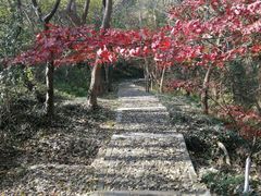 -南京市江宁方山