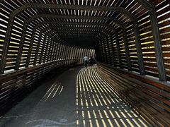 -昆山城市生态森林公园