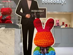 -ROSEONLY诺誓(青岛万象城店)