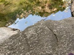 -黑龙潭风景区