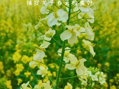 -桤木河湿地公园