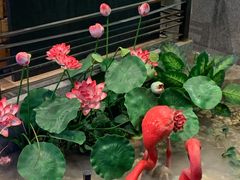 -河坝강뚝烧烤专门店(旗舰店)