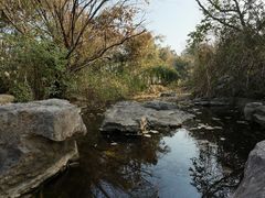 -上海吴淞炮台湾国家湿地公园
