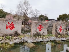 -香雪海