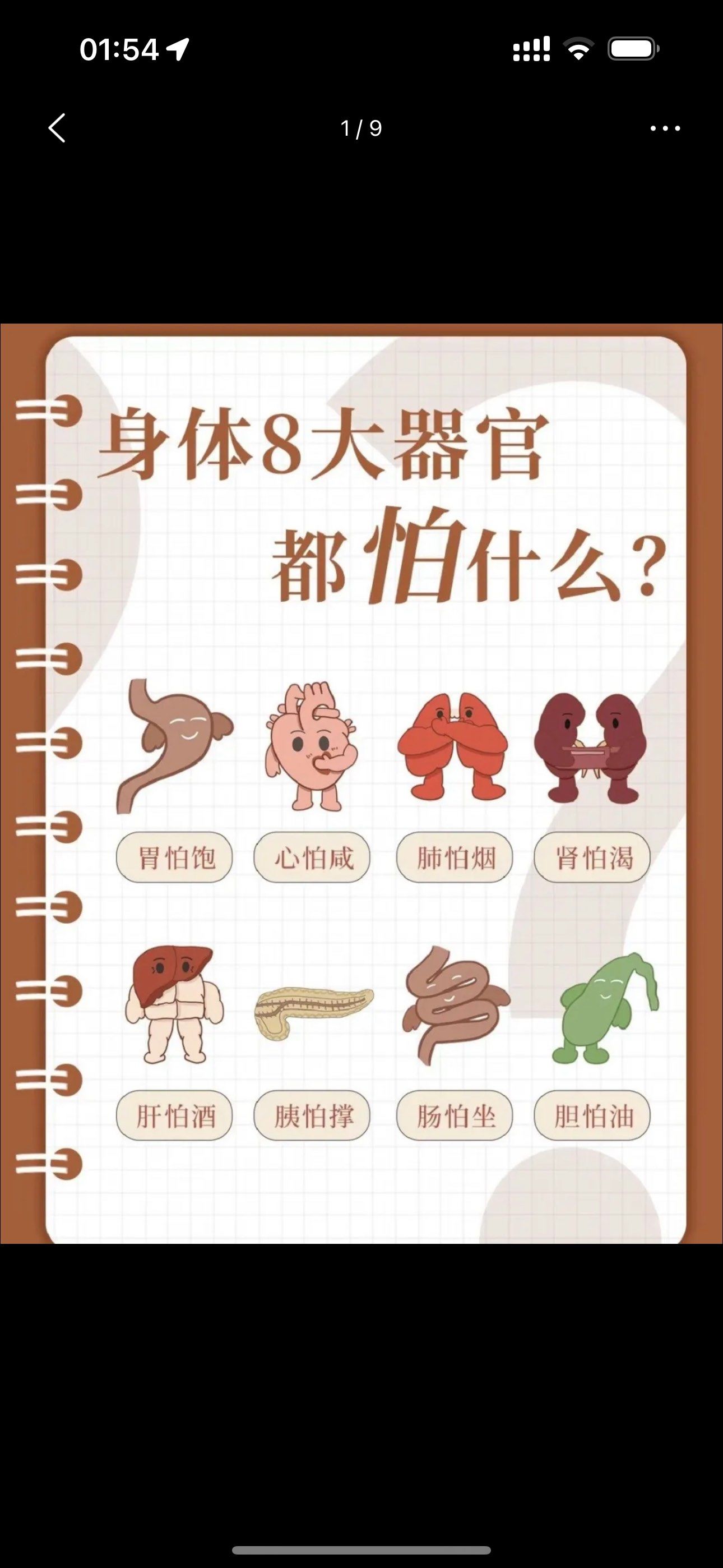 健康小贴士:器官位置