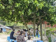 -金水泊山庄·花椒鸡(铁山坪店)