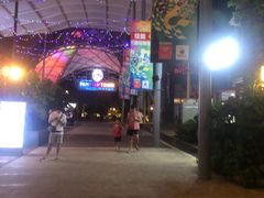 -三亚海昌梦幻海洋不夜城