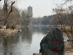 -勺园西餐厅