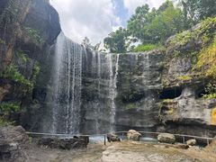 -新加坡飞禽公园