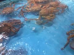 -盒马鲜生(宝地店)