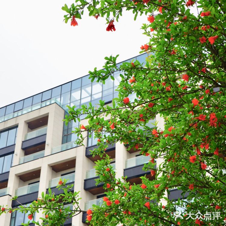 打卡魔都最神秘的奢华酒店