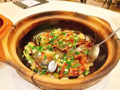 沙窝鱼头煲-沙龙酒家