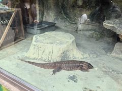 -黔灵山公园