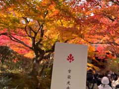-常寂光寺