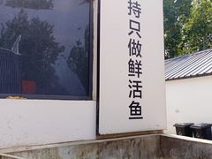 -向外鱼乐·土菜·虹鳟鱼