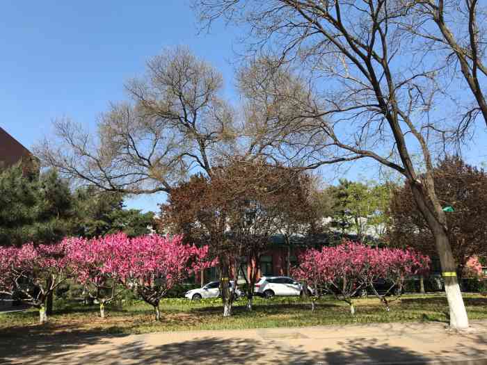 人民大学品园-"地址位于人名大学里面的一个胡同,位于风尚.