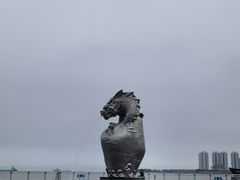 -朱家尖南沙景点