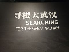 -盘龙城国家考古遗址公园