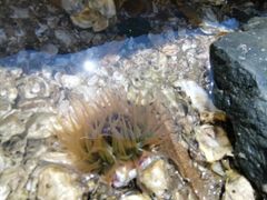 -兴城海滨风景区