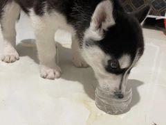 -山东柏宁水族批发广场