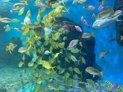 -泉城欧乐堡海洋极地世界