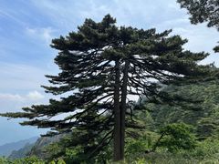 -黄山风景区