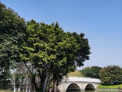 -海珠湖公园