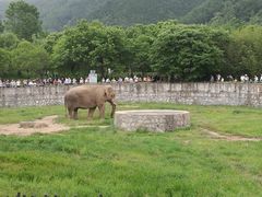 -西安秦岭野生动物园
